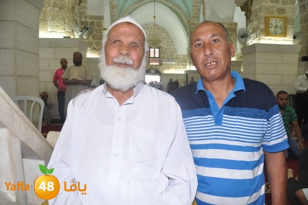 bazsalah lud 712 (43).JPG